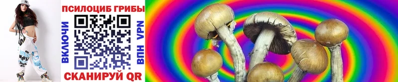 omg зеркало  Краснокамск  Галлюциногенные грибы MAGIC MUSHROOMS  что такое наркотик 