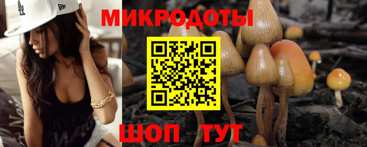 Псилоцибиновые грибы Psilocybine cubensis  Галлюциногенные грибы MAGIC MUSHROOMS  Краснокамск  Вход с VPN 